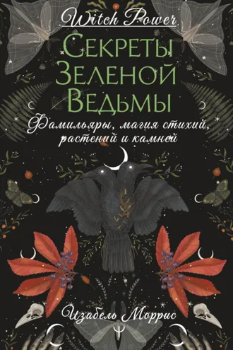 Обложка книги «Секреты зеленой ведьмы. Фамильяры, магия стихий, растений и камней»