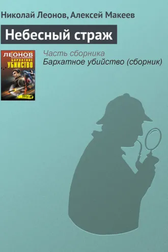 Обложка книги «Небесный страж»
