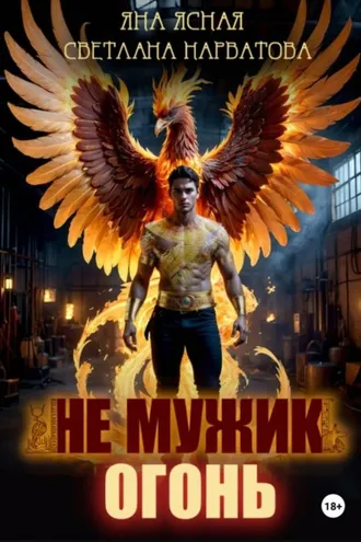 Обложка книги «Не мужик – огонь!»