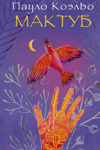 Обложка книги «Мактуб»
