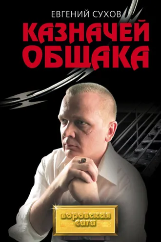 Обложка книги «Казначей общака»