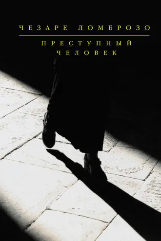 Обложка книги «Политическая преступность»