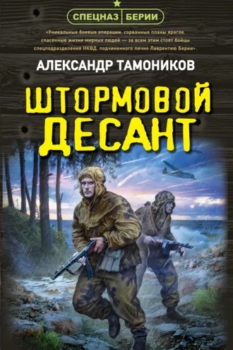 Обложка книги «Штормовой десант»