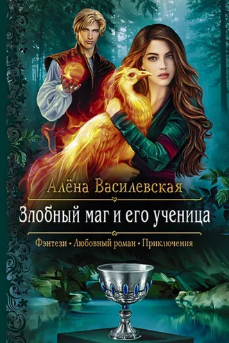 Обложка книги «Злобный маг и его ученица»