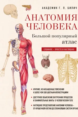 Обложка книги «Анатомия человека. Большой популярный атлас»