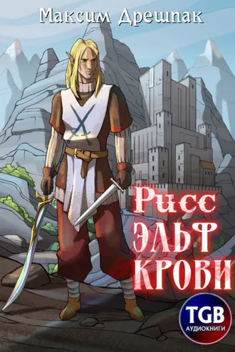Обложка книги «Рисс. Эльф крови»