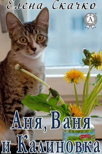Обложка книги «Аня, Ваня и Калиновка»
