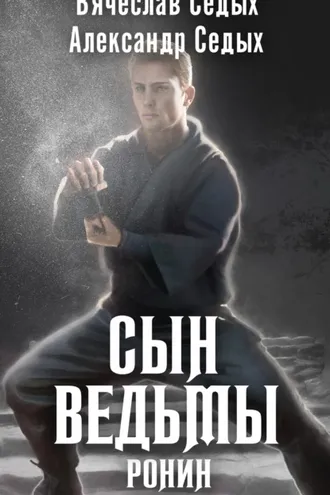 Обложка книги «Ронин»