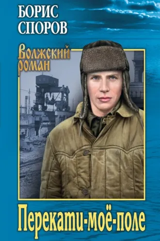 Обложка книги «Перекати-моё-поле»