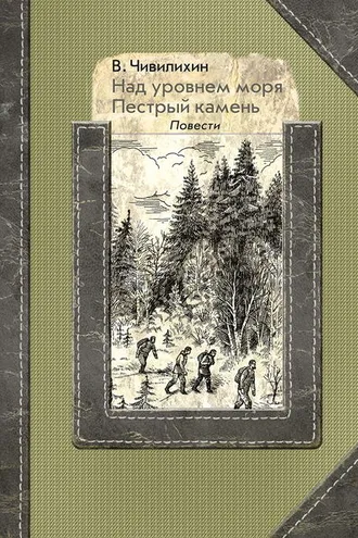 Обложка книги «Над уровнем моря. Пестрый камень»