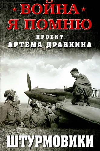 Обложка книги «Штурмовики»