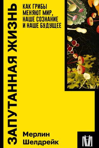Обложка книги «Запутанная жизнь. Как грибы меняют мир, наше сознание и наше будущее»