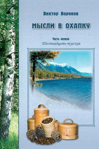 Обложка книги «Мысли в охапку. Часть первая. Шестнадцать туесков»