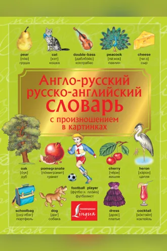 Обложка книги «Англо-русский. Русско-английский словарь с произношением в картинках»