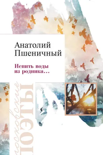 Обложка книги «Испить воды из родника…»