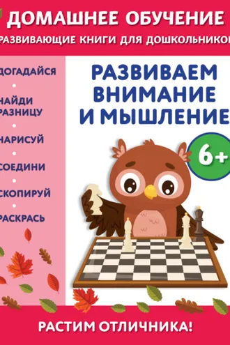 Обложка книги «Развиваем внимание и мышление. Для детей от 6 лет»