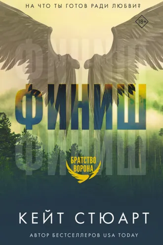 Обложка книги «Финиш»
