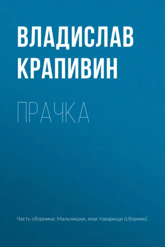Обложка книги «Прачка»