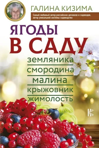 Обложка книги «Ягоды в саду. Земляника, смородина, малина, крыжовник, жимолость»