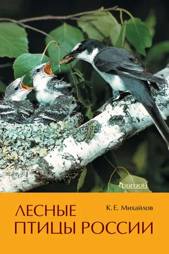 Обложка книги «Лесные птицы России»