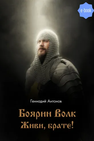 Обложка книги «Боярин Волк. Живи, брате!»