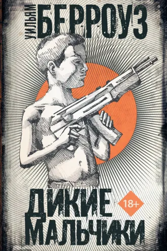 Обложка книги «Дикие мальчики»