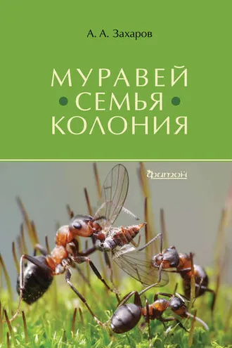 Обложка книги «Муравей. Семья. Колония»