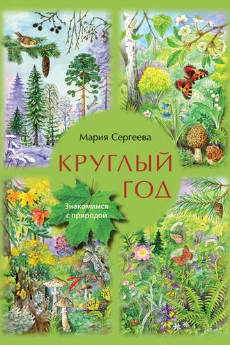 Обложка книги «Круглый год»