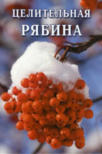 Обложка книги «Целительная рябина»