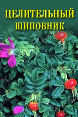 Обложка книги «Целительный шиповник»