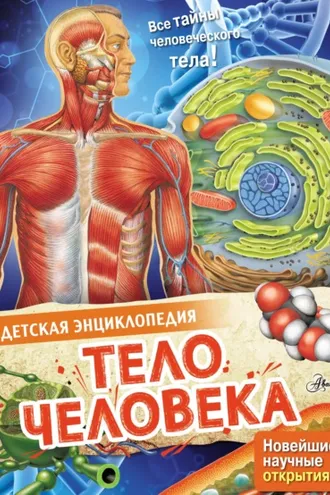Обложка книги «Тело человека»