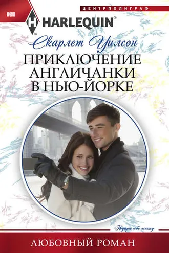 Обложка книги «Приключение англичанки в Нью-Йорке»