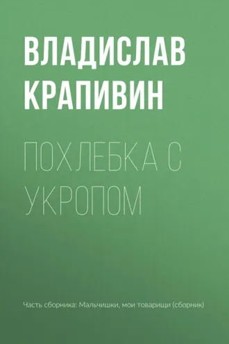 Обложка книги «Похлебка с укропом»