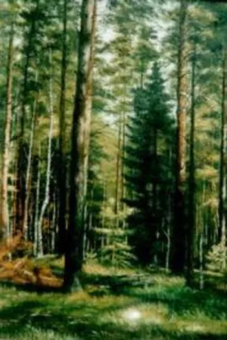 Обложка книги «Лес – кормилец»