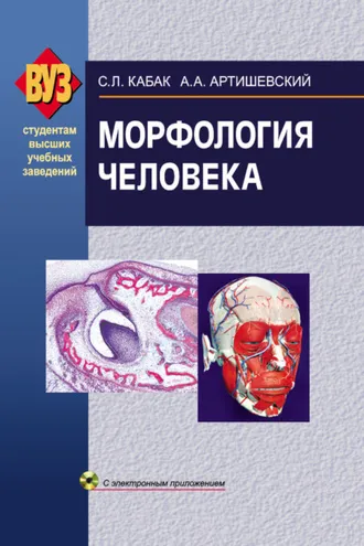 Обложка книги «Морфология человека»