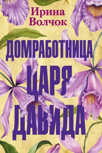 Обложка книги «Домработница царя Давида»