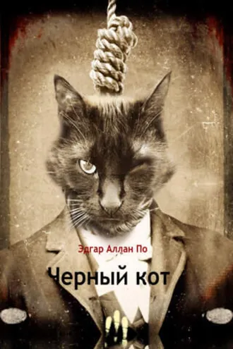 Обложка книги «Черный кот»