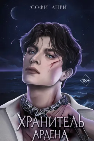 Обложка книги «Хранитель Ардена»