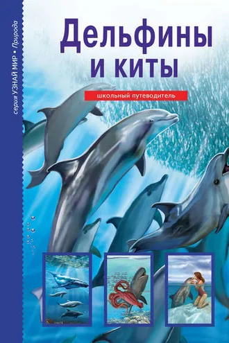 Обложка книги «Дельфины и киты»