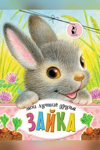 Обложка книги «Зайка»