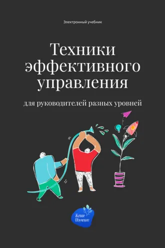 Обложка книги «Техники эффективного управления для руководителей разных уровней»