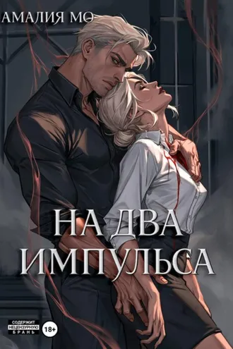 Обложка книги «На два импульса»