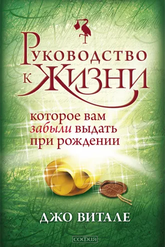 Обложка книги «Руководство к жизни, которое вам забыли выдать при рождении»