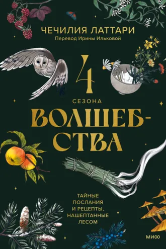 Обложка книги «4 сезона волшебства. Тайные послания и рецепты, нашептанные лесом»