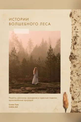 Обложка книги «Истории волшебного леса. Рецепты, рассказы, рукоделие и чудесные поделки, вдохновленные природой»