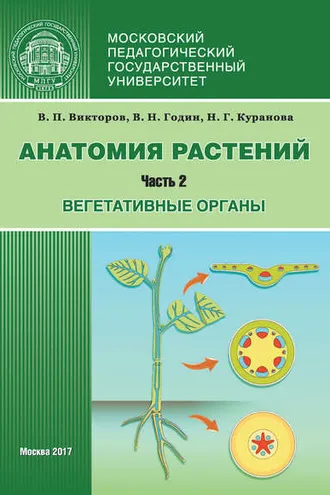 Обложка книги «Анатомия растений. Часть 2. Вегетативные органы»