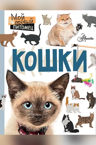 Обложка книги «Кошки»