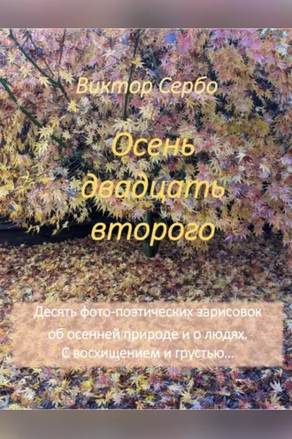 Обложка книги «Осень двадцать второго»