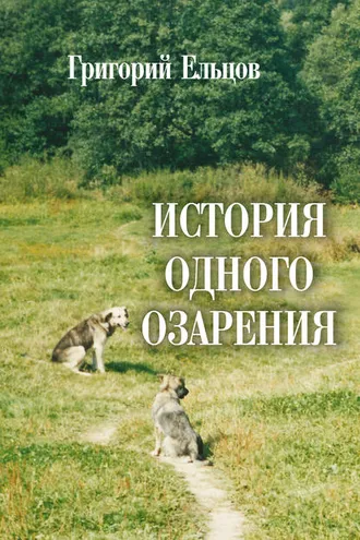 Обложка книги «История одного озарения»