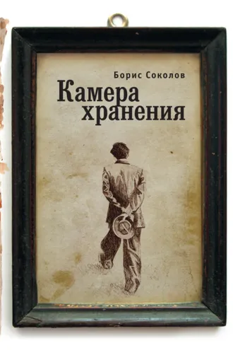 Обложка книги «Камера хранения»